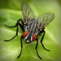 /album/life/photolia-a01-jpg/