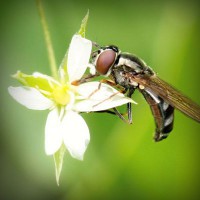 /album/life/photolia-a02-jpg/