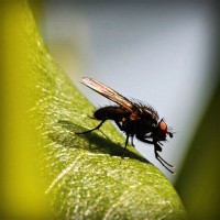 /album/life/photolia-a04-jpg/