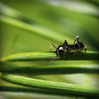 /album/life/photolia-a05-jpg/