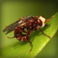 /album/life/photolia-a06-jpg/