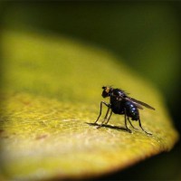 /album/life/photolia-a07-jpg/