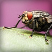 /album/life/photolia-a08-jpg/